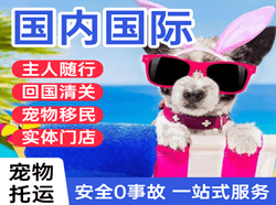 迪庆香格里拉机场邮寄国际宠物托运 【国